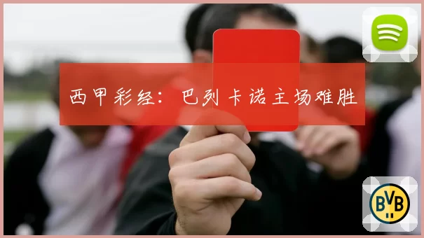 西甲彩经：巴列卡诺主场难胜