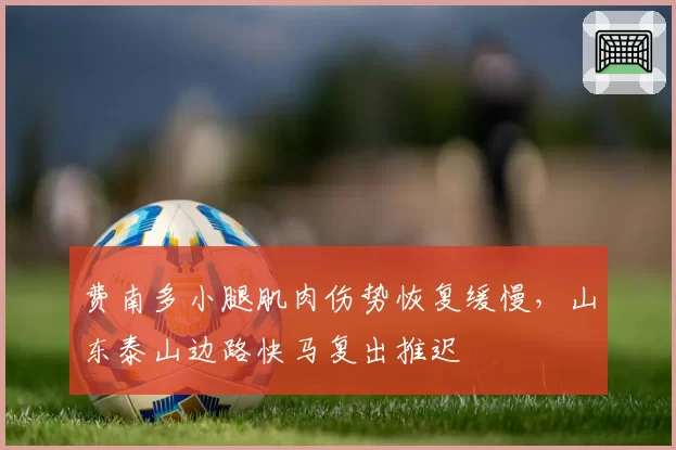 费南多小腿肌肉伤势恢复缓慢，山东泰山边路快马复出推迟