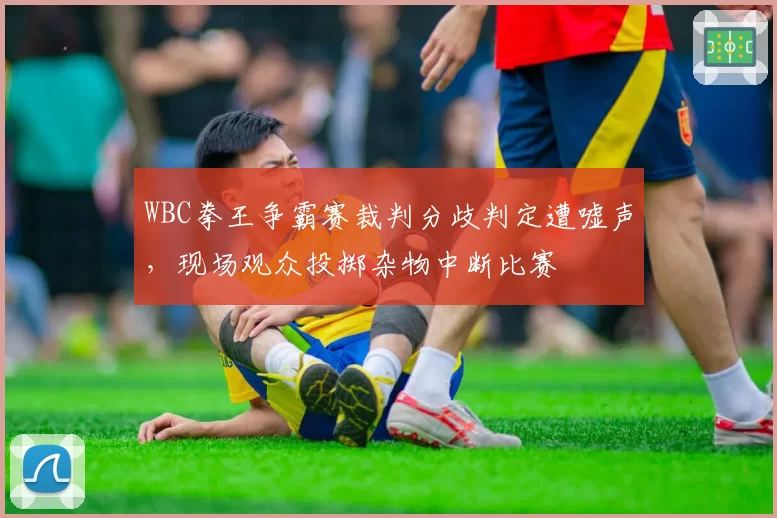 WBC拳王争霸赛裁判分歧判定遭嘘声，现场观众投掷杂物中断比赛