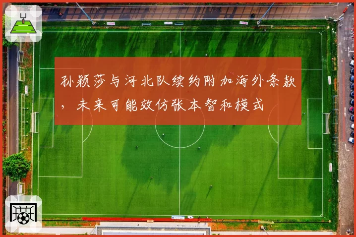 孙颖莎与河北队续约附加海外条款，未来可能效仿张本智和模式
