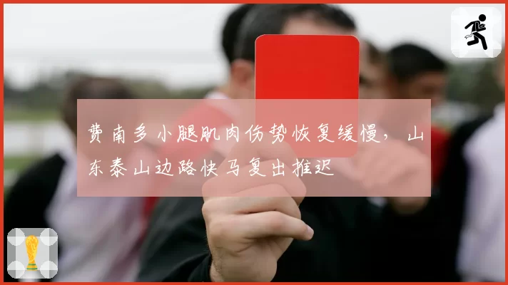 费南多小腿肌肉伤势恢复缓慢，山东泰山边路快马复出推迟