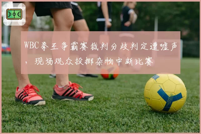 WBC拳王争霸赛裁判分歧判定遭嘘声，现场观众投掷杂物中断比赛